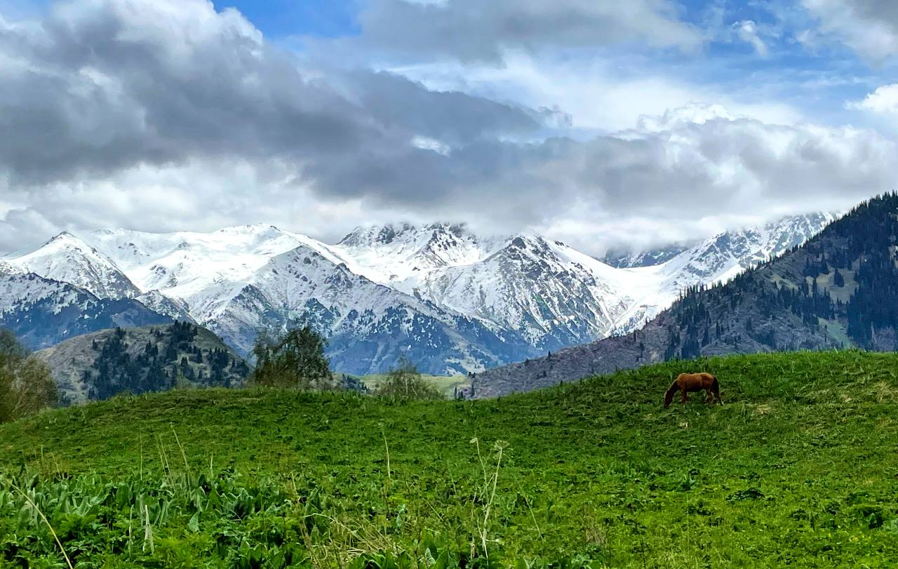 Kok Zhailau plateau